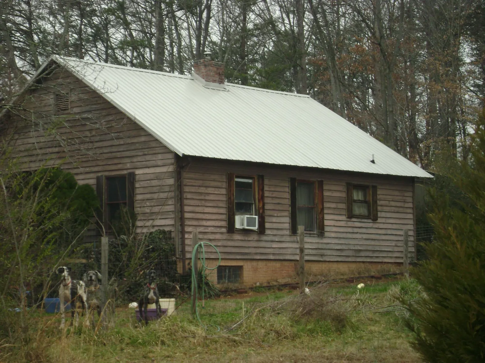 White metal roof on an old wood sided farmhouse, from a Asphalt Shingle Roof Repair job in Rochelle